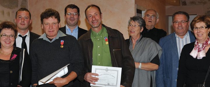 Remise des médailles du travail