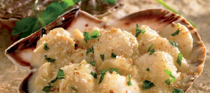 Coquilles Saint Jacques